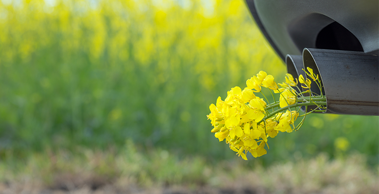 Gelbe Blumen stecken im Auspuff